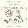 Verveine Duftsachet Suisse 12x12cm