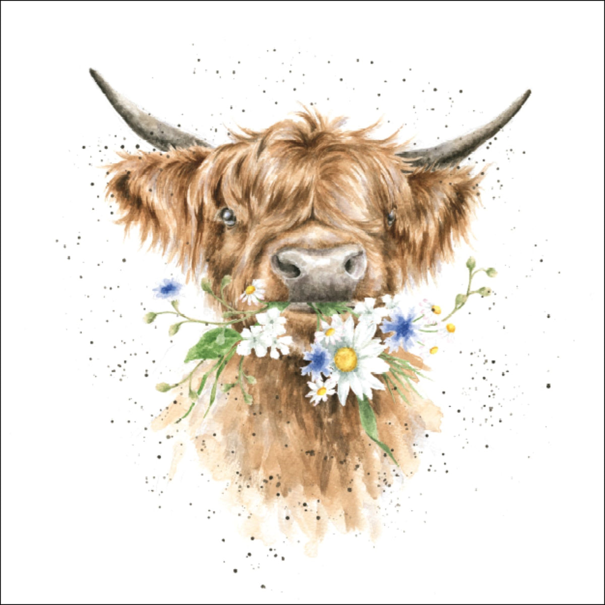 Kuh Daisy Duftsachet Hannah Dale Edition 12x12cm Wrendale Designs