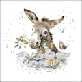 Esel Jack Duftsachet Hannah Dale Edition 12x12cm Wrendale Designs