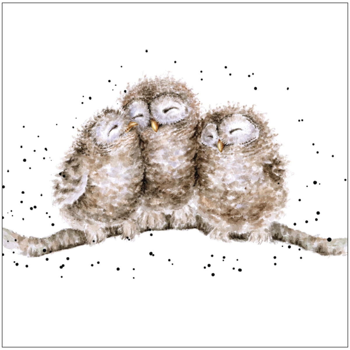 Eulen Duftsachet Hannah Dale Edition 12x12cm Wrendale Designs