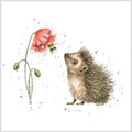 Igel Duftsachet Hannah Dale Edition 12x12cm Wrendale Designs
